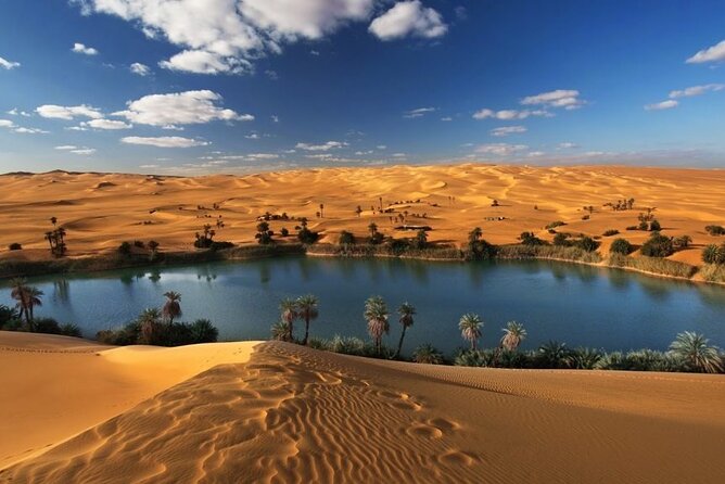 Private Tour Whales Valley And Wadi El Rayan Waterfalls In El Fayoum From Cairo - Tour Overview
