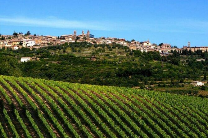 Private Tour Wine and Cheese a Perfect Combinations Val Orcia - Key Points