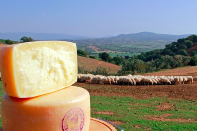 Private Tour Wine and Cheese a Perfect Combinations Val Orcia - Traveler Photos of Experiences