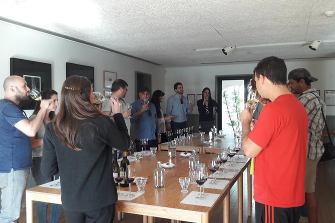 Private Tour Wine (region Évora) Wine Tasting - Accessibility and Transportation