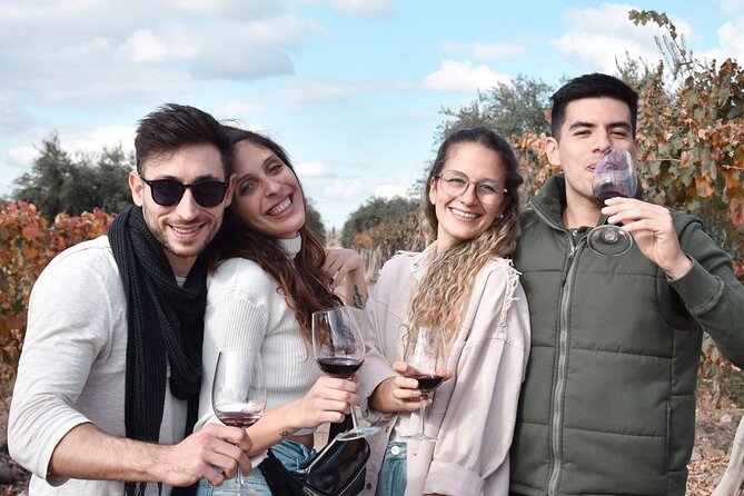 Private Tour: Wineries for the Day in Mendoza - Key Points