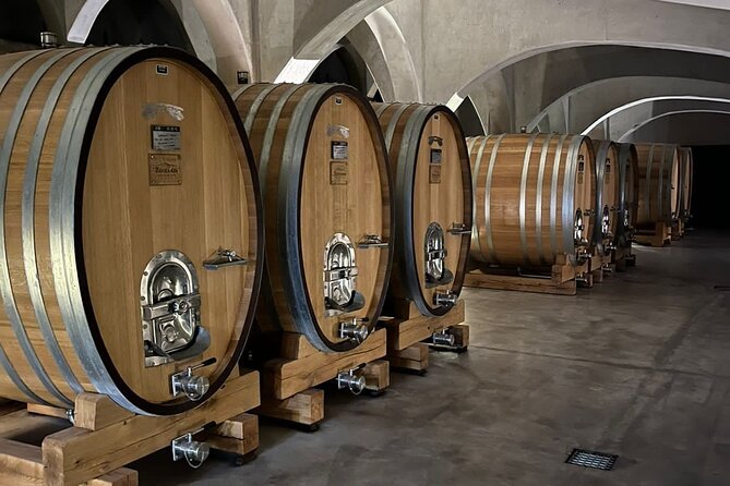 Private Tour: Wineries for the Day in Mendoza - Private Tour Experience