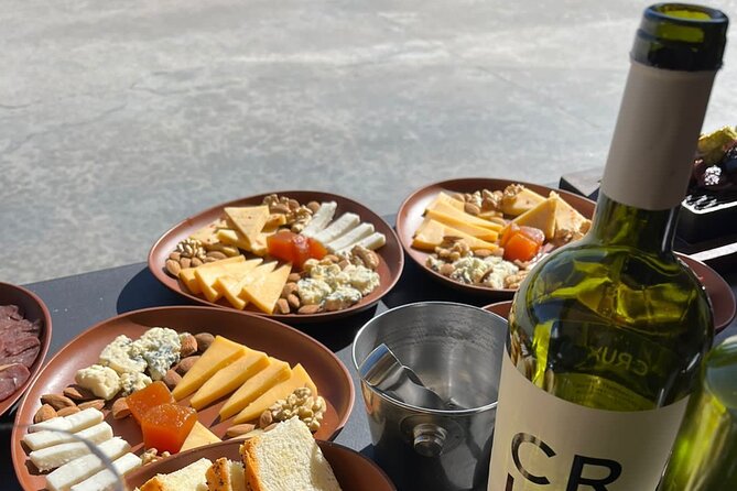 Private Tour: Wineries for the Day in Mendoza - Vinicola Jean Buschet Highlights