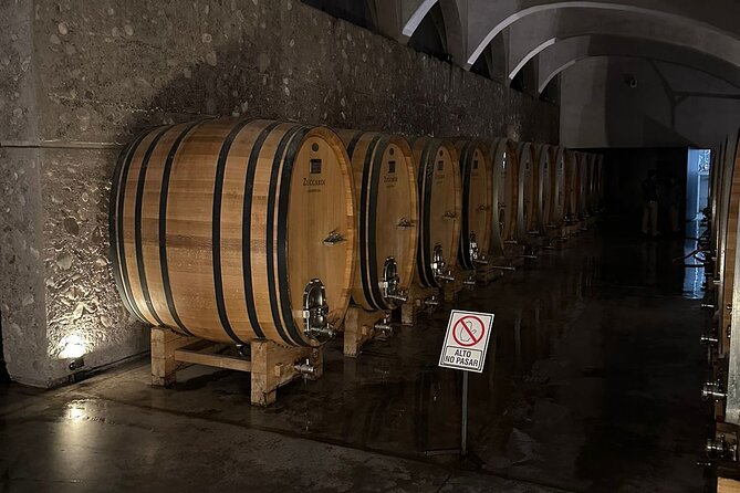 Private Tour: Wineries for the Day in Mendoza - Exceptional Service From Driver