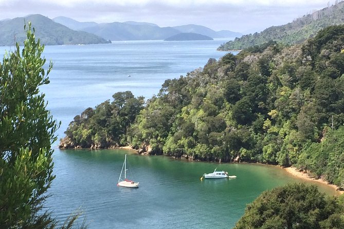 Private Tour: Winter Wine and Scenic Delights Tour From Picton - Logistics and Meeting Details