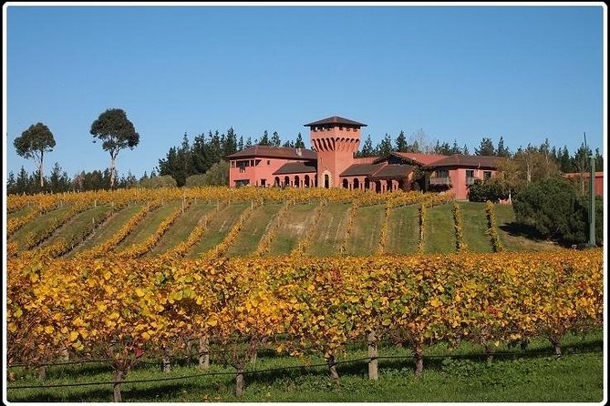 Private Tour: Winter Wine and Scenic Delights Tour From Picton - Customizable Experiences