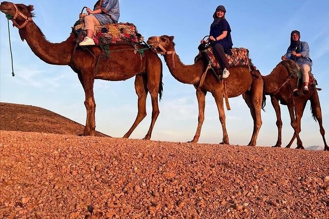 PRIVATE Tour With Dinner & Sunset With Camel to Desert Agafay - Camel Riding at Sunset