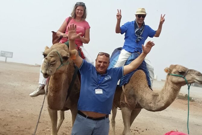 Private Tour With Guide in Tangier - Pickup Information