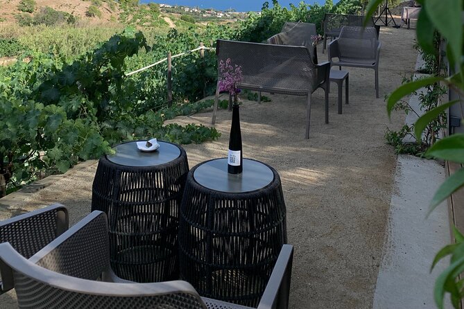 Private Tour With Navigation and Visit to Alella Vineyards - Transportation