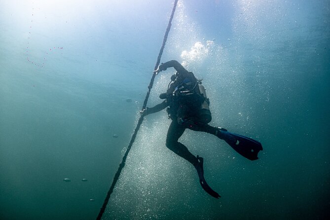 Private Tour Wreck Diving | 5 Divers | Cabo to La Paz - Dive Sites