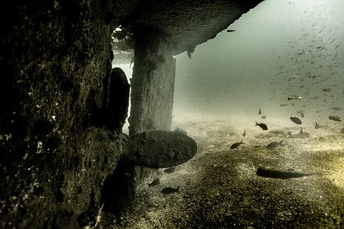 Private Tour Wreck Diving | 5 Divers | Cabo to La Paz - Frequently Asked Questions
