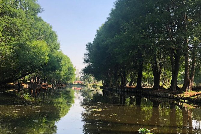 Private Tour: Xochimilco, Coyoacan and Frida Kahlo Museum. - Pickup and Accessibility