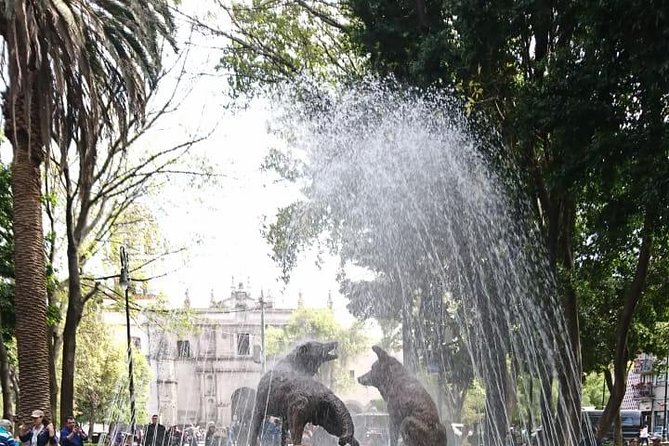 Private Tour: Xochimilco, Coyoacan and Frida Kahlo Museum in Mexico City - Visiting Frida Kahlo Museum