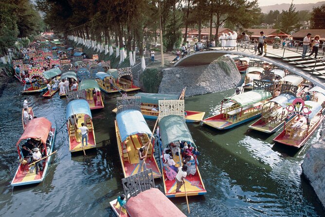 Private Tour: Xochimilco Coyoacan and Frida Kahlos Museum and House - Health and Safety Protocols
