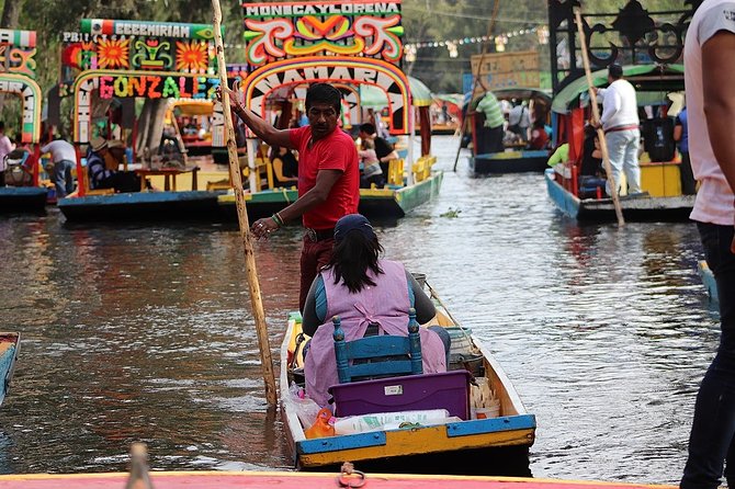 Private Tour: Xochimilco Coyoacan and Frida Kahlos Museum and House - Traveler Requirements