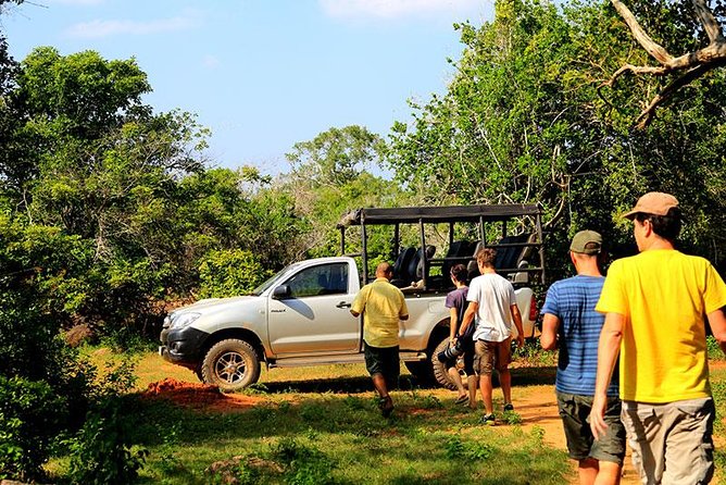 Private Tour: Yala National Park Safari - Transportation
