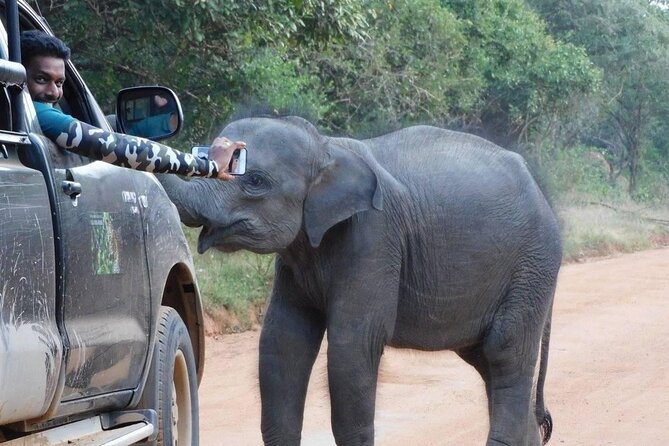 Private Tour : YALA National Park With Experienced Driver and Guide - Exploring Sri Lankas Wildlife and Biodiversity