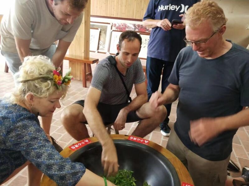 Private Tour-Yangshuo Seven Fairies Peak Tea Plantation - Key Points