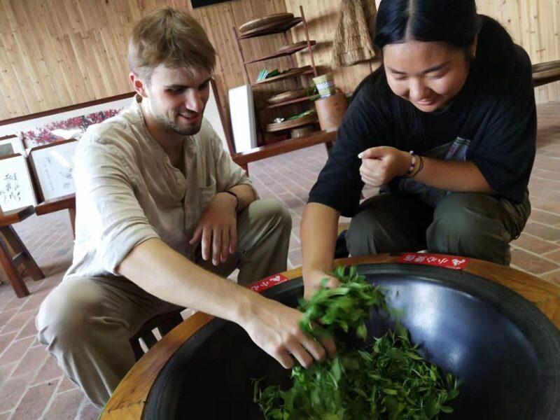 Private Tour-Yangshuo Seven Fairies Peak Tea Plantation - Hands-on Workshops