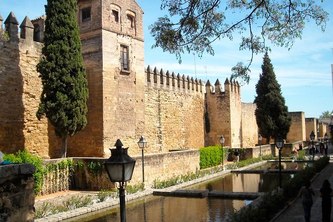 Private Tourist Route in Córdoba - Guest Feedback and Reviews