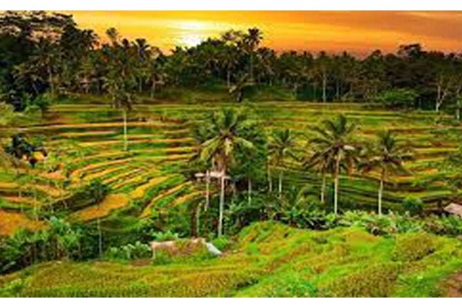 Private Tour:Kintamani Volcano Tour With Entrance Ticket & Hotel Transfer - Celuk Village