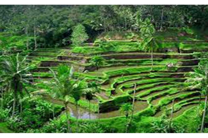 Private Tour:Kintamani Volcano Tour With Entrance Ticket & Hotel Transfer - Mas Carving Center