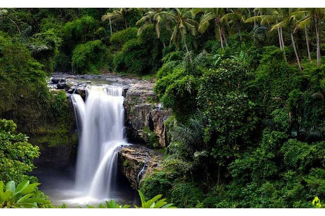 Private Tour:Kintamani Volcano Tour With Entrance Ticket & Hotel Transfer - Traveler Information