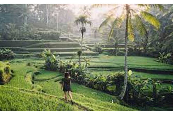 Private Tour:Kintamani Volcano Tour With Entrance Ticket & Hotel Transfer - Customer Reviews