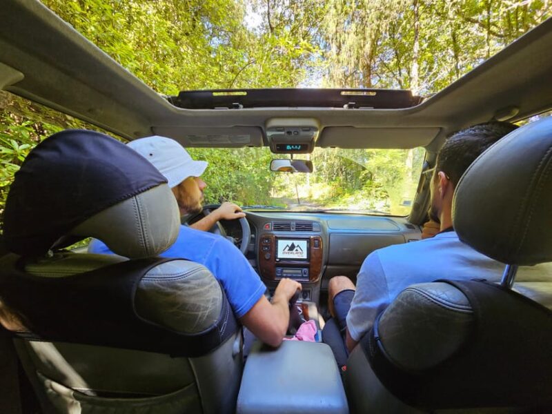 Private Tour:Off-road Adventure on Madeira Island - Tour Features