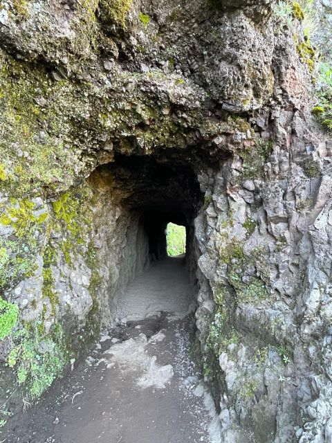 Private Tour:Pico Areiro -Pico Ruivo Hike With Sunrise - Customer Feedback and Recommendations