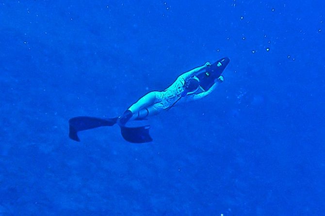 Private Tours Beach Entry - Sea Scooters Guided With Videos - Observe Marine Life