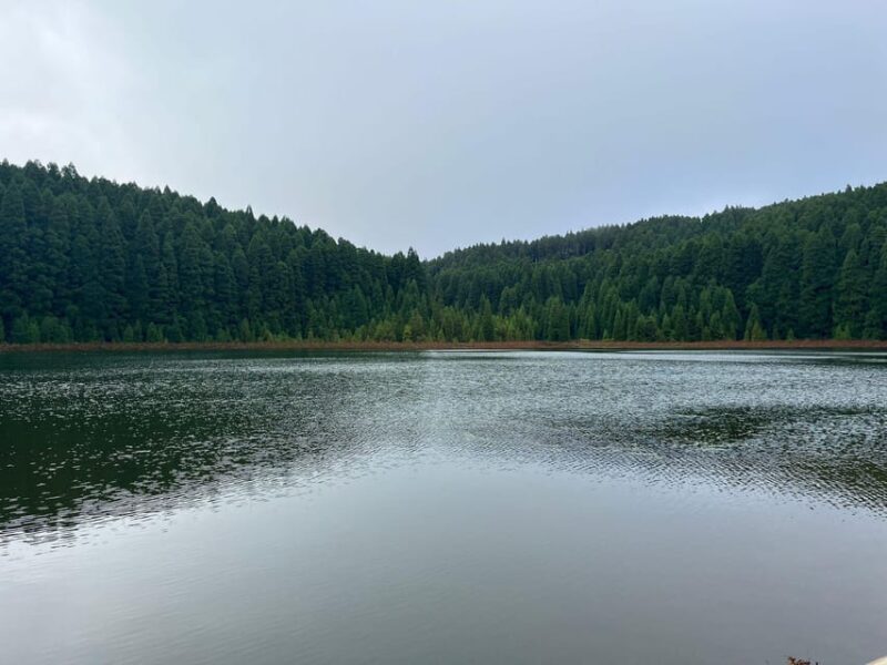 Private Tours Best Spots (Views) in São Miguel Island - Food and Beverage Information