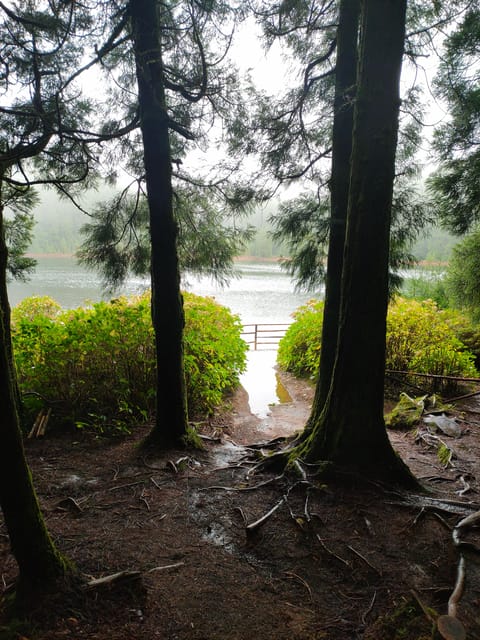 Private Tours Best Spots (Views) in São Miguel Island - Frequently Asked Questions