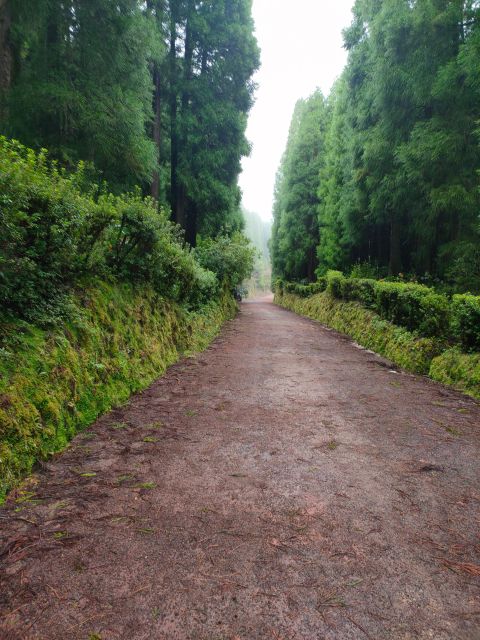Private Tours Best Spots (Views) in São Miguel Island - Participant Information and Flexibility