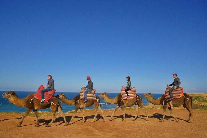 Private Tours From Malaga to Tangiers in Morocco for up to 8 Persons - Meet Local Camels