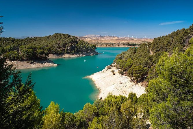 Private Tours From Malaga to the Caminito Del Rey for up to 8 Persons - Customer Reviews and Testimonials