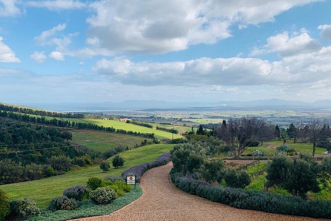 Private Tours in Cape Town - Reviews and Ratings