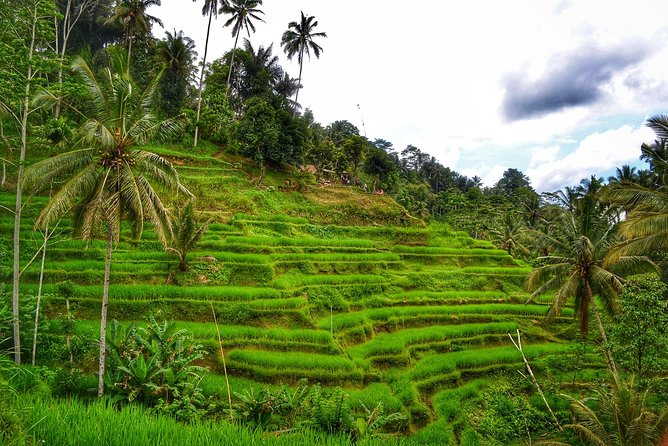 Private Tours : Natural Hot Spring, Batur Volcano and Waterfall - Natural Hot Springs