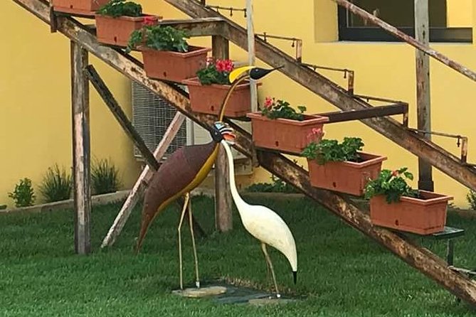 Private Tours of Murano, Burano, and Torcello Islands in Venice by Luxury Water Taxi - Included Amenities