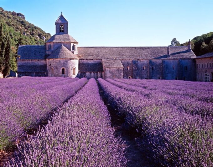 Private Tours - Shore Excursions French Riviera - Sightseeing and Shopping