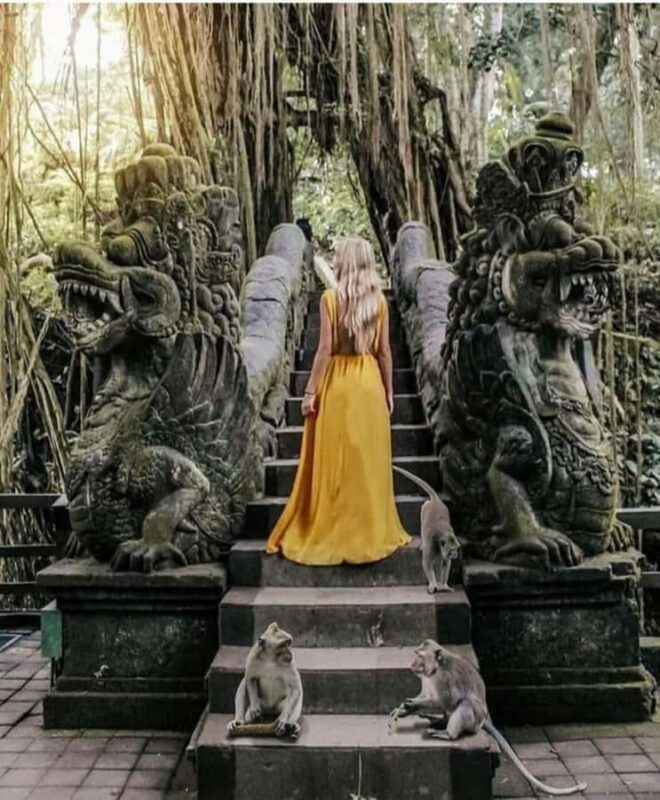 Private Tours: Tegallalang With Monkey Forest And Water Fall - A Day in Ubud: What to Expect from This Tour