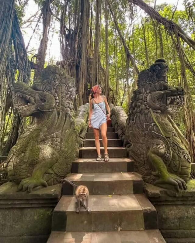 Private Tours: Tegallalang With Monkey Forest And Water Fall - Final Thoughts: Who Will Love This Tour?