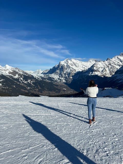 Private Tours to Grindelwald, Interlaken, and Iseltwald - Guided Tour and Activities