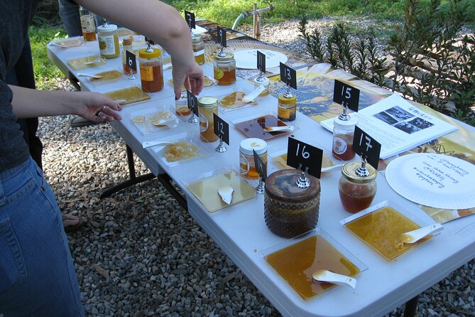 Private Traditional Kefalonian Cooking Class Experience - Traveler Reviews and Ratings
