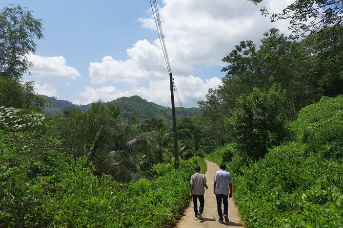 Private Traditional Sri Lankan Village Food Trail - Turmeric Tea Delight