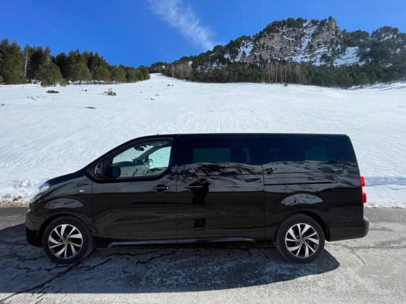 Private Transfer Airport Tarbes Lourdes to Lourdes - Booking and Availability