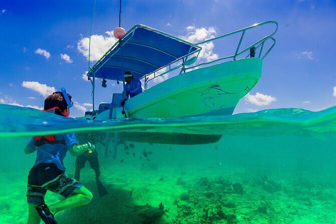 Private Transfer Bacalar-Tulum with optional 2h in Sian Ka'an Biosphere Reserve - The Sum Up
