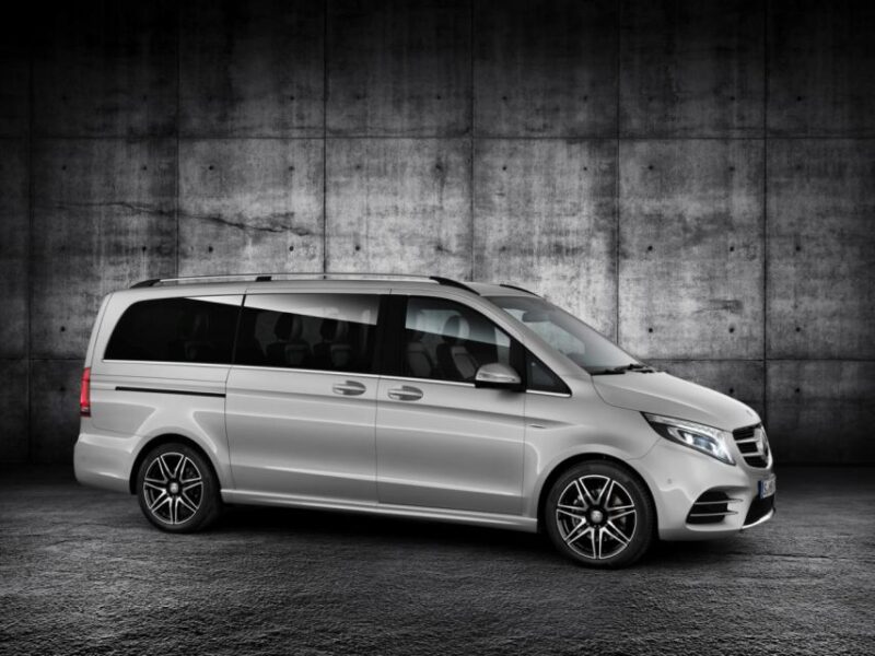 Private Transfer Between Antalya Airport and Alanya - Driver Qualifications