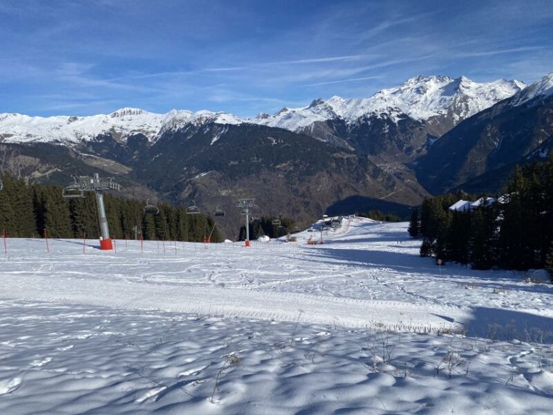 Private Transfer Between Courchevel and Geneva - Vehicle and Amenities