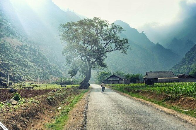 Private Transfer Between Lao Cai Train Station and Sapa Town - What Travelers Are Saying